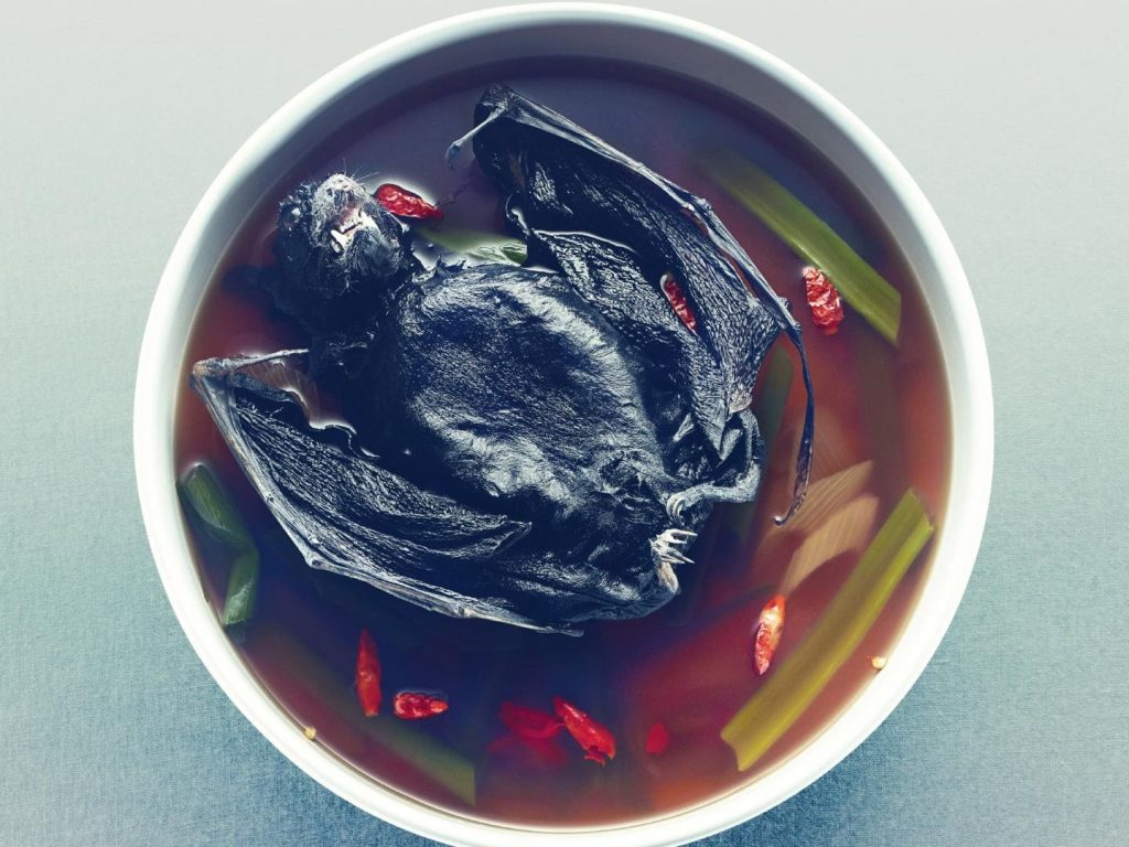 سوپ خفاش